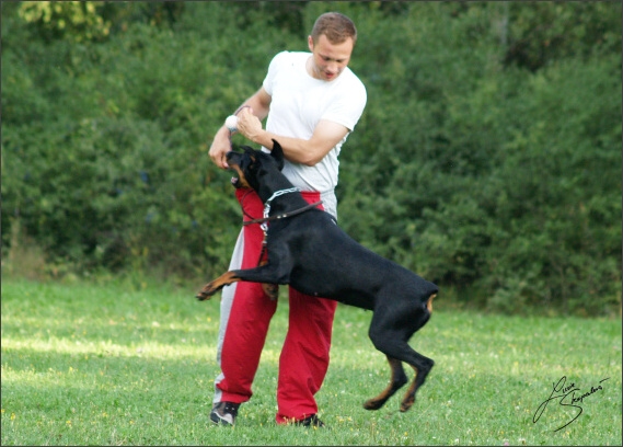 Summer training camp - Jelenec - 2007